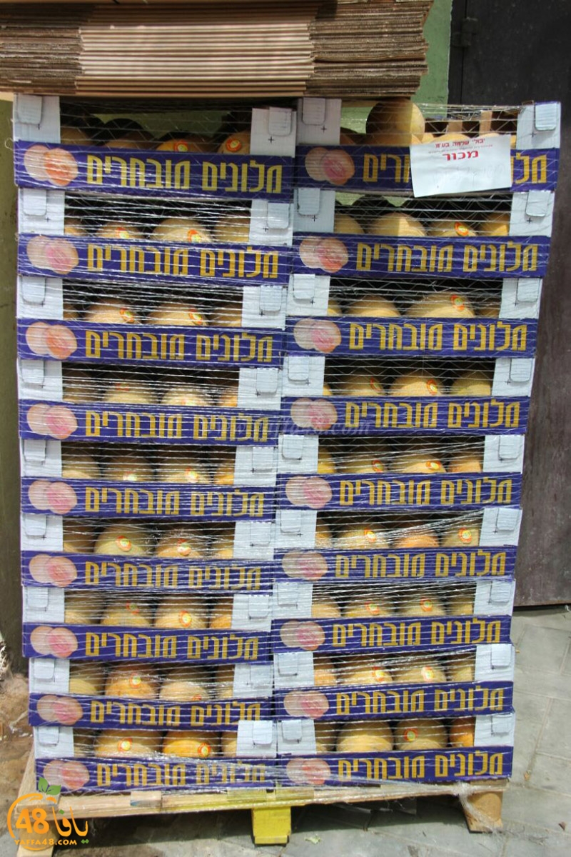 tajhee jdfhdk (12).jpg